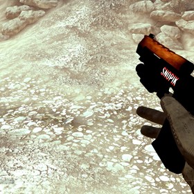 skinsMW2: Deagle black